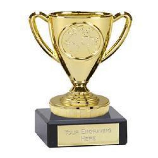 Flexx Mini Trophy