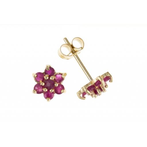 9ct Gold and real NATURAL RubyStud Earrings